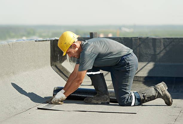Best Insulation Maintenance and Repair in El Dorado Hills, CA