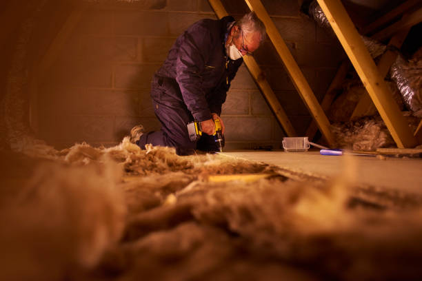 Best Insulation Maintenance and Repair in El Dorado Hills, CA